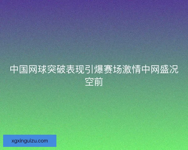 中国网球突破表现引爆赛场激情中网盛况空前